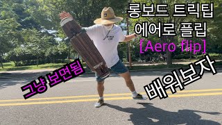 롱보드트릭팁 에어로플립(Aero Flip) 배워보자