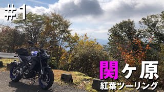 【ツーリング】関ヶ原ツーリング #1 関ヶ原IC〜伊吹山ドライブウェイ【YAMAHA MT-09】