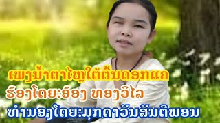 ເພງນໍ້າຕາໄຫຼໃຕ້ຕົ້ນດອກແຄ เพงน้าตาไหลใต้ต้นดอกแค(5 ສິງຫາ 2020)