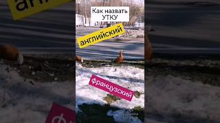 Как будет \