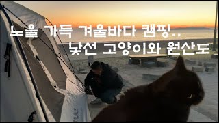 뷰가 미친 원산도 겨울바다 캠핑 ㅣ불멍을 좋아하는 낯선 고양이 ㅣ 해저터널 뚫린 원산도에 다녀왔습니다.