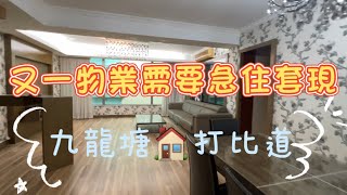 九龍塘 聚賢居 Scholars Lodge 實用 1538' 連天台 『睇裝修 睇戶型』 靚裝大宅 私隱度高 #打比道 #41校網 #九龍豪宅 #Catherine #帶你睇樓 #香港樓市2023