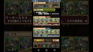 【パズドラ】火の猫龍【水なし】 劉備