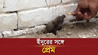 ইঁদুরের সঙ্গে প্রেম | Love with mice | The News