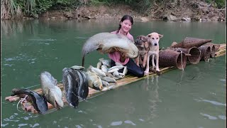 A Vietnamese girl goes fishing with two smart dogs to save money on buying materials - ha thi muon