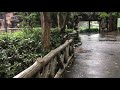 雨の日の平日 上野動物園内を散歩