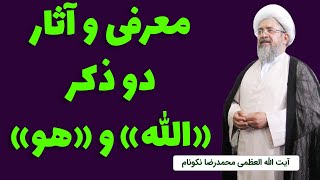 معرفی و آثار دو ذکر «الله و هو» - آیت الله محمدرضا نکونام