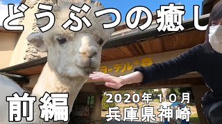 【ヨーデルの森】最高‼️沢山の動物さんたちとふれあった。兵庫県の山間部に結構遊べる施設発見！！