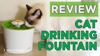 Cat Drinking Fountain - Cat Review of Catit Flower Fountain