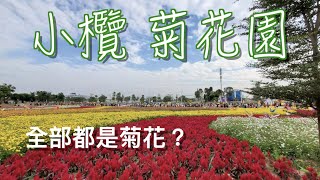 【香港人在中山】中山 小欖 菊花展@2020 聽得多 但有冇睇過？ 中山好去處 ｜大灣區｜小欖 ｜CHINA ｜ZHONGSHAN