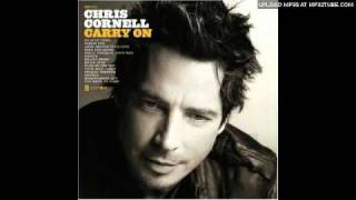 Chris Cornell - Poison Eye (Album version)