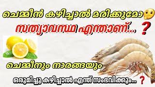 ചെമ്മീനും നാരങ്ങയും ഒരുമിച്ചു കഴിച്ചാൽ എന്ത് സംഭവിക്കും🤔|@Fishertalker