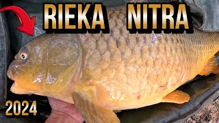 Výprava - Lov Kapra na Rieke ⛺🎣 Rieka Nitra 😇 lov rýb kaprů kaprov na malej řece na boilies 🐀