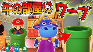 マリオのどかんで住民の家に住み着きたいww【あつ森】【あつまれどうぶつの森】