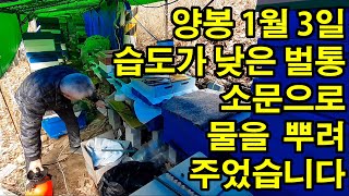 양봉 1월 3일 습도가 낮은 벌통 소문으로 물을 뿌려 주었습니다