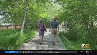 High Line Reopens With Limited Capacity, Restrictions