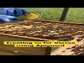 Treating honey bees for Varroa using Apigaurd