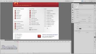 Flash CS4/CS5 Beginner Tutorial: Getting started