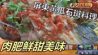 屏東黃瓜石斑料理 肉肥鮮甜美味 |【民生八方事】| 2022112607 @gtvnews27