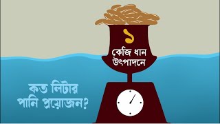 এক কেজি ধান উৎপাদনে কতটুকু পানির দরকার হয়? অবাক করা তথ্য!!paddyricenature