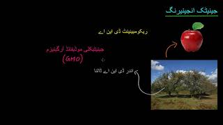 Introduction to genetic engineering | Molecular genetics | High school biology | Khan Academy Urdu