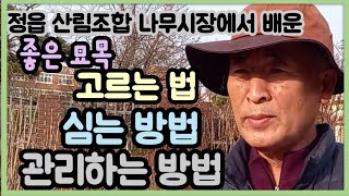 정읍 산림조합 나무시장에서 좋은묘목 고르는법, 묘목심는법, 묘목관리하는방법을 알아봄