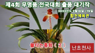 #12월30일 #난초 # 제 4회 한국춘란 무명품 전국대회 #출품대기작 불타는홍화 2  #8촉 꽃 3경 #대상가능 할까요? 댓글로  달아주세요 #난초천사  #합천으로 가즈아 ~