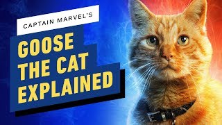 What Is the Cat in Captain Marvel? Goose Explained