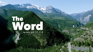 The WORD | Jeremiah 17:7-8 | Fountainview Academy