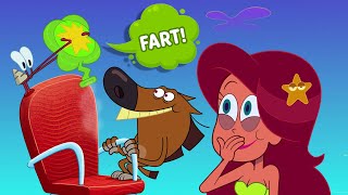 Zig & Sharko 🤭 THE PRANK - Compilation in HD