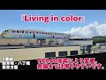 【高音質】舞浜駅期間限定発車メロディー「君の願いが世界を輝かす」「living in color」