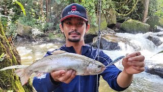 #แซลมอน​ เมืองไทย ปลาเรนโบว์​เทราต์​ บนยอดดอย เหนือ​สุดของประเทศไทย​ #rainbowtrout #คันเบ็ด​4ท่อน