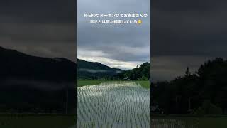 八ヶ岳移住　失敗しない　田舎暮らし　移住に失敗して欲しくない想い　#shorts