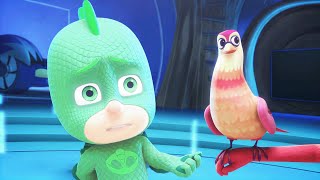 Corujita e os Corujitos e mais | PJ Masks em Português | Desenhos Animados