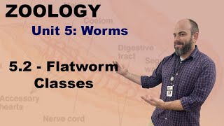 Zoology Unit 5 - 5.2 - Flatworm Classes