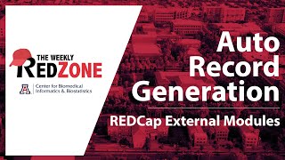 REDZone - Auto Record Generation