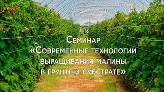 Современные технологии выращивания малины в грунте и субстрате», 10-11 декабря