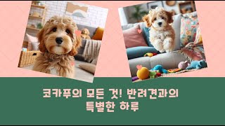 코카푸의 모든 것 반려견과의 특별한 하루