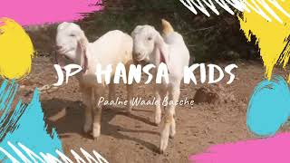 Jp Hansa Kids Paalne Waale Bacche From Yadav Bhai - Masha allah