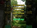 যারা অসৎ হয় তারা কখনো অন্যকে সৎ মনে করে না islam shorts virals shoth