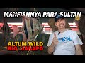 GALERI MANFISH MEWAH PARA SULTAN, ALTUM WILD RIO ATABAPO | VEKEL PETS & SUPPLY