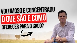 VOLUMOSO E CONCENTRADO: O QUE SÃO E QUANDO OFERECER PARA O GADO