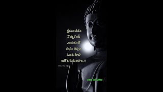 క్షమించడం నేర్చుకోండీ #quotes #shorts #లైఫ్ #lifequotes #life #lifechangingquotes  #quoteoftheday