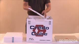 CMI   Peli Biothermal Credo Cube