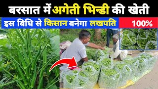 bhindi ki kheti | बरसात में भिन्डी की खेती कैसे करें | lady finger farming rainy season in Hindi |