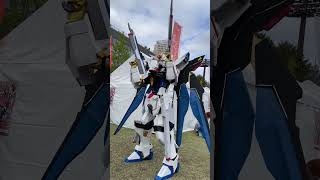 ストライクフリーダム起動‼️#ガンダムseedfreedom #コスプレ