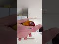 ボタンインコ　ウロコインコ　今朝の様子　くっついたペーパー