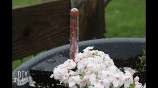 How to Use a Self-Watering Lechuza Cascada Planter | Easy Care for Your Plants