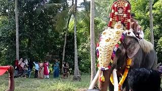 Koottanad vishnu