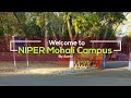 NIPER MOHALI CAMPUS VIDEO PART 1....FROM Main Gate to Residential Area.